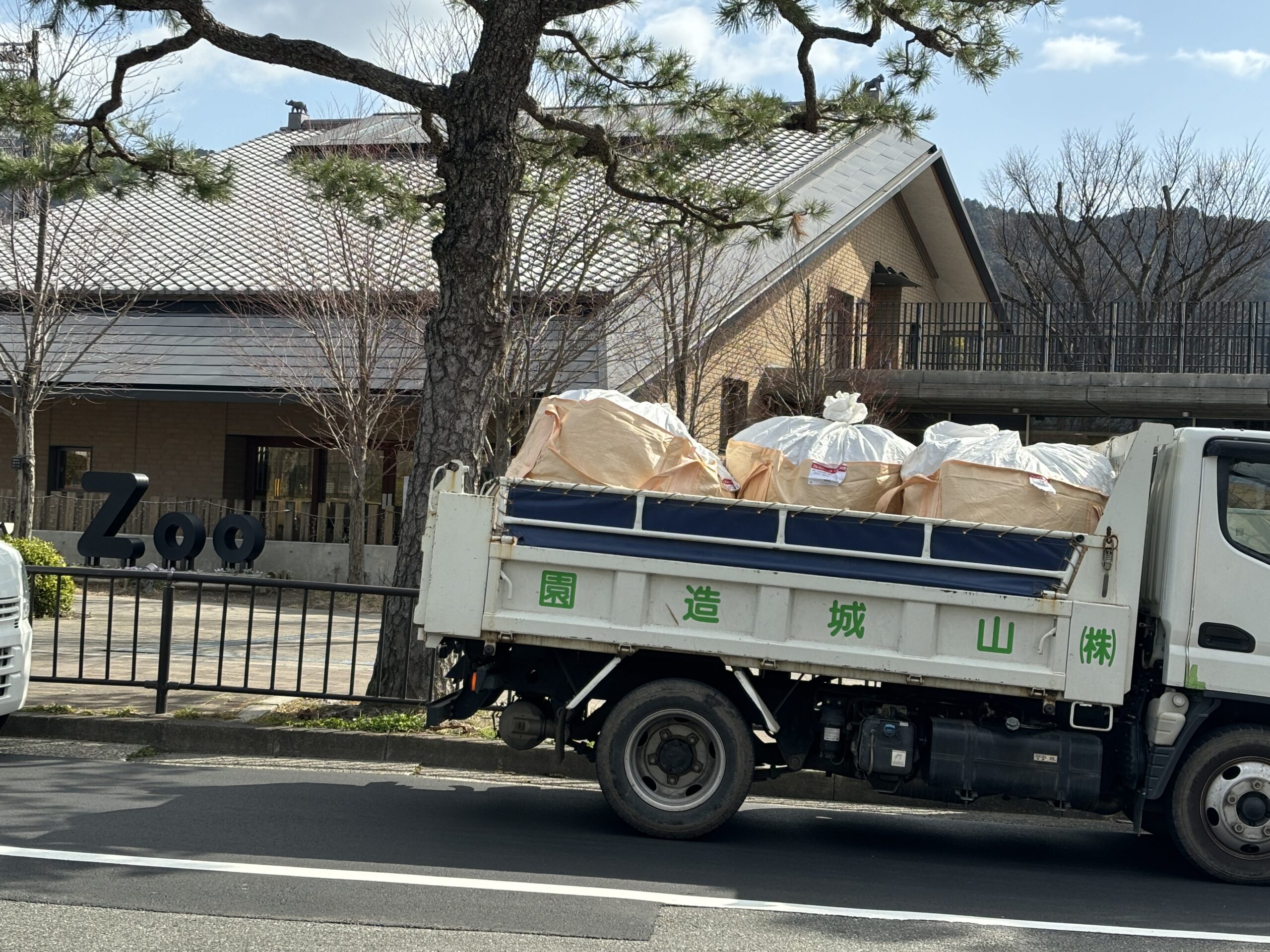 剪定枝の回収と運搬作業